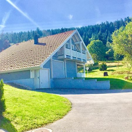 Chalet Le Flocon Bleu - Mauselaine Avec Vue Sur Le Lac De Gérardmer Exterior foto
