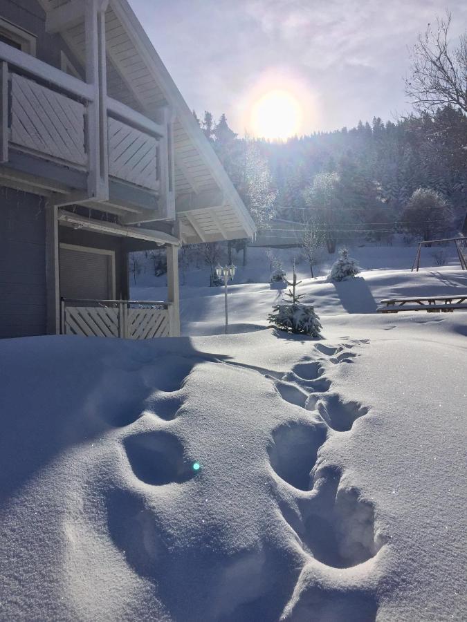 Chalet Le Flocon Bleu - Mauselaine Avec Vue Sur Le Lac De Gérardmer Exterior foto