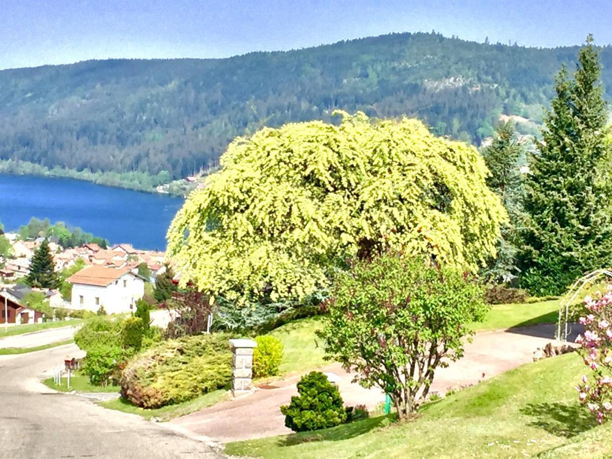 Chalet Le Flocon Bleu - Mauselaine Avec Vue Sur Le Lac De Gérardmer Exterior foto
