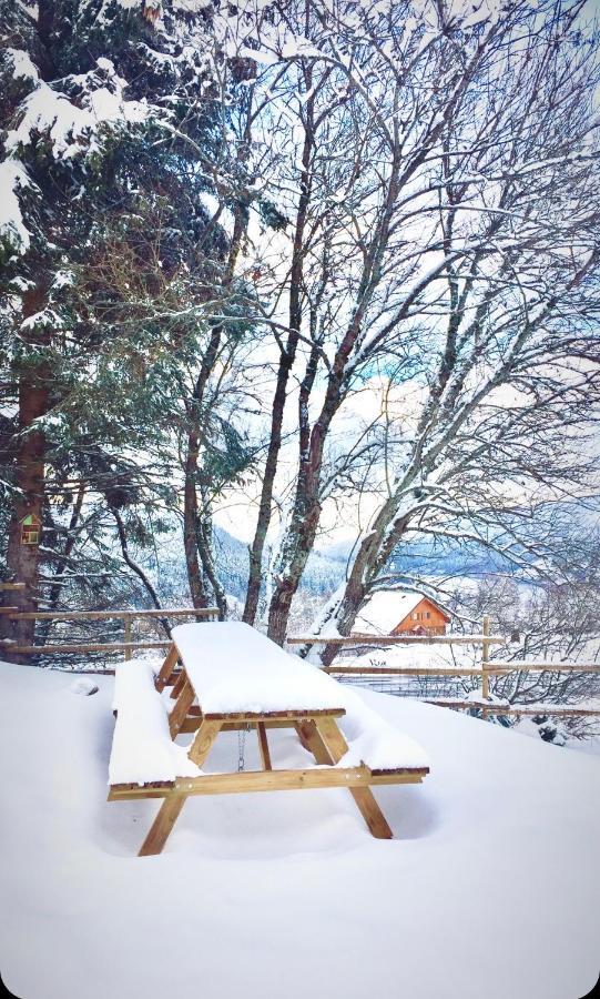 Chalet Le Flocon Bleu - Mauselaine Avec Vue Sur Le Lac De Gérardmer Exterior foto