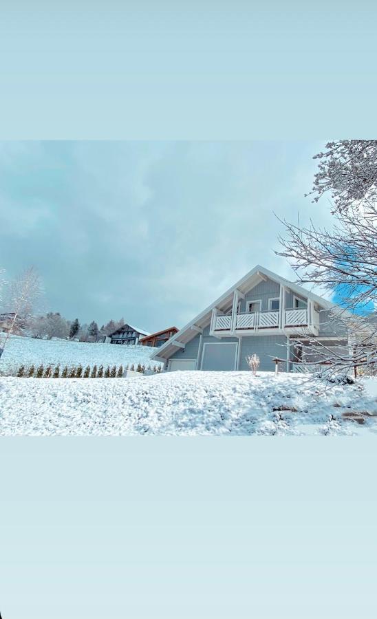 Chalet Le Flocon Bleu - Mauselaine Avec Vue Sur Le Lac De Gérardmer Exterior foto